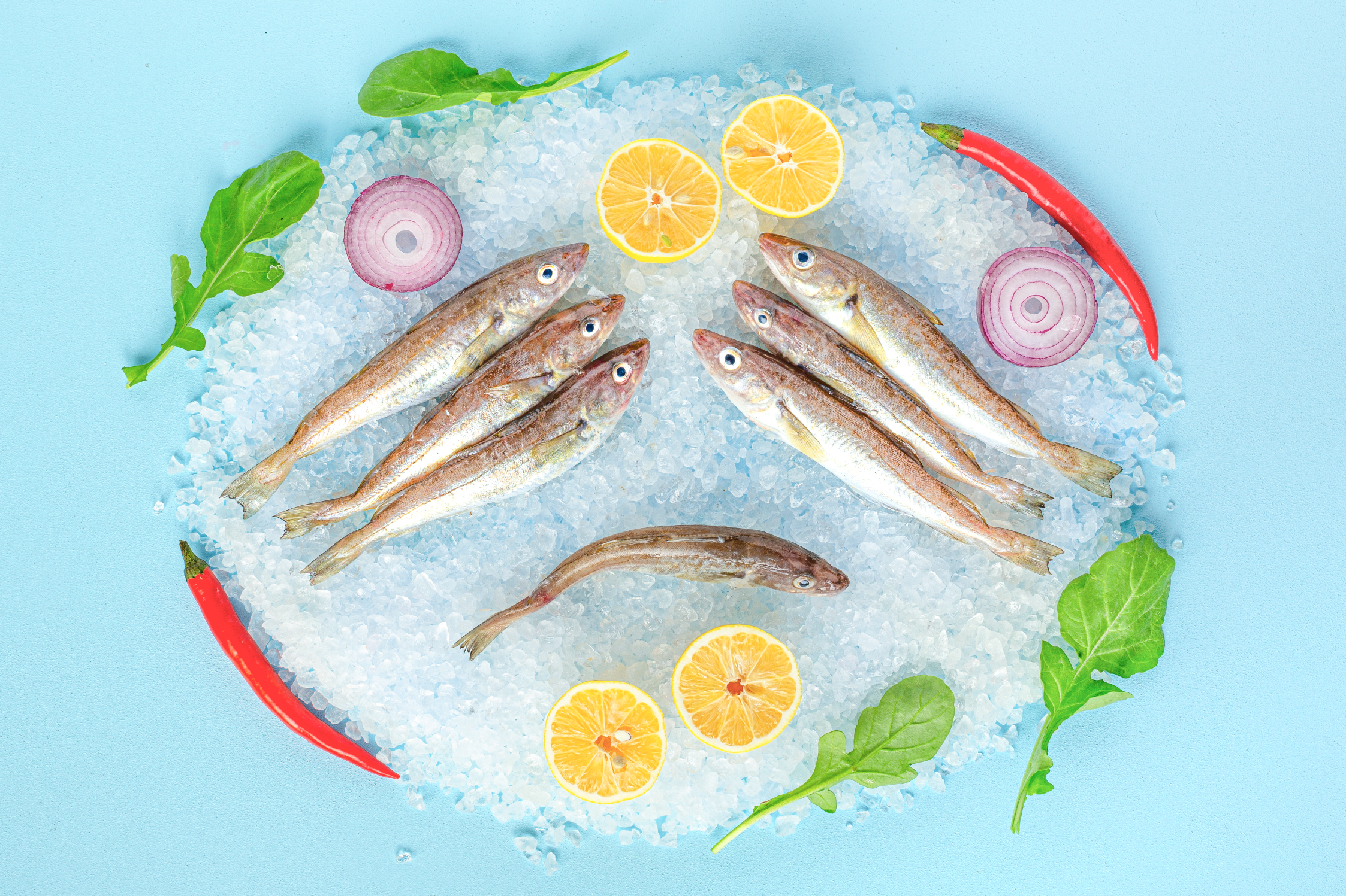 Mezgit Karadeniz (kg)