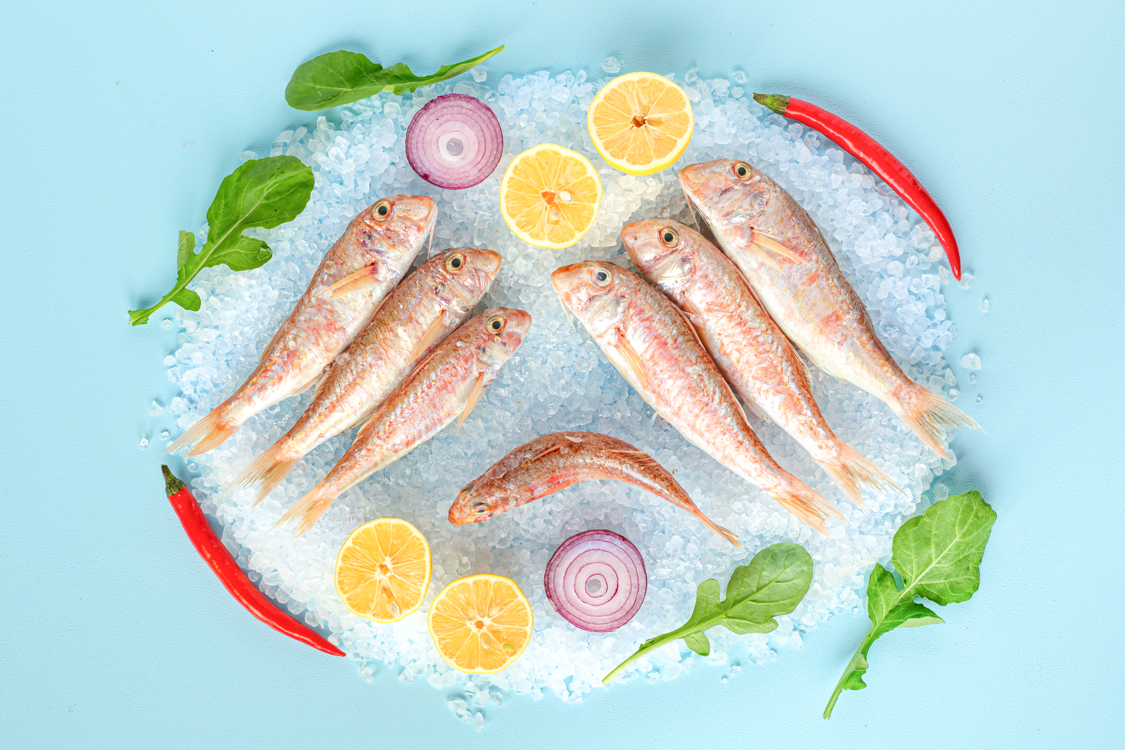 Taş Barbun İri (kg)