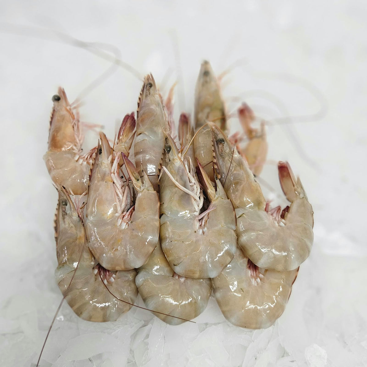 Taze Yerli Karides (1 kg)