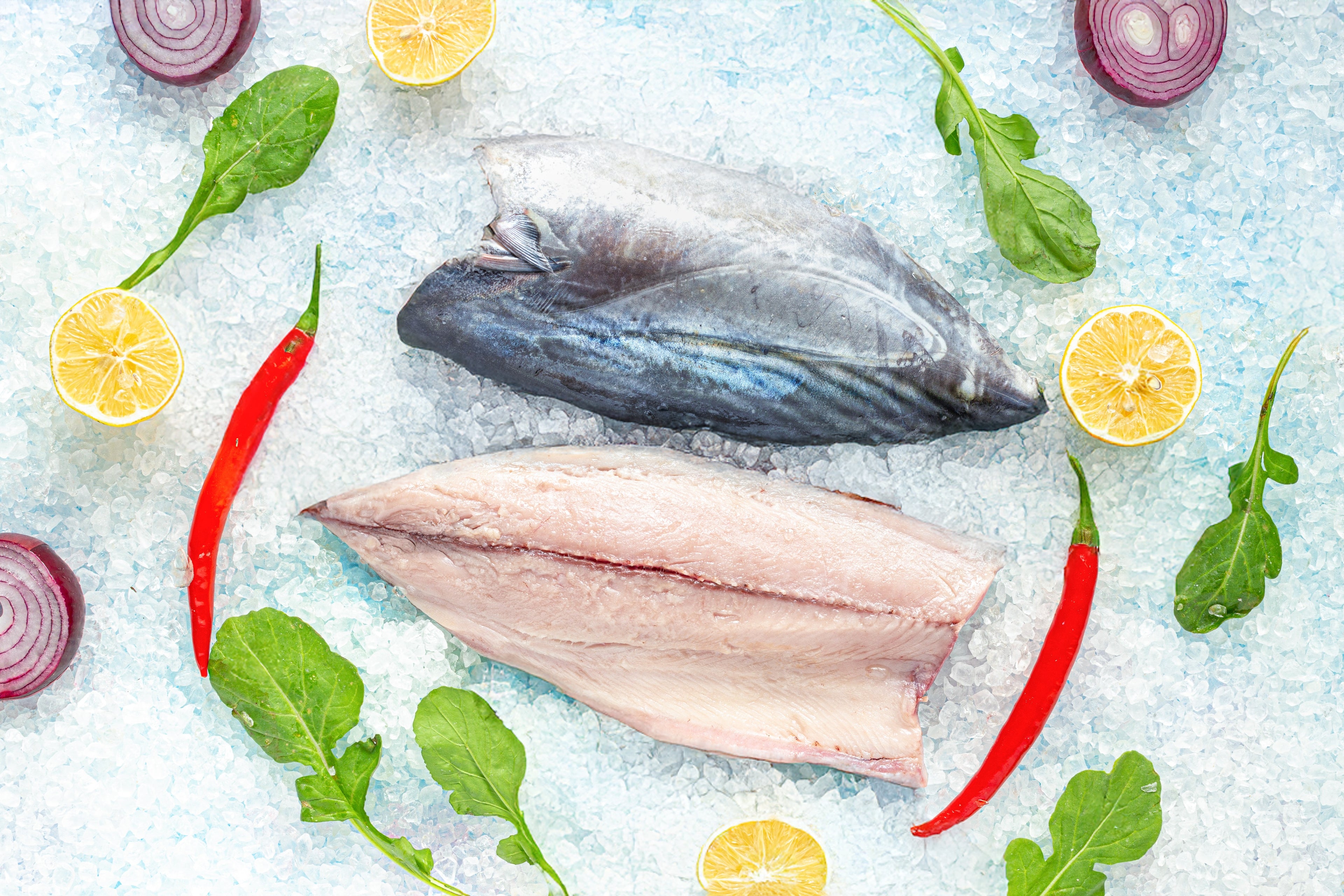 Torik (4,2-4,7 kg) Adet