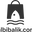 Albi Balık logo