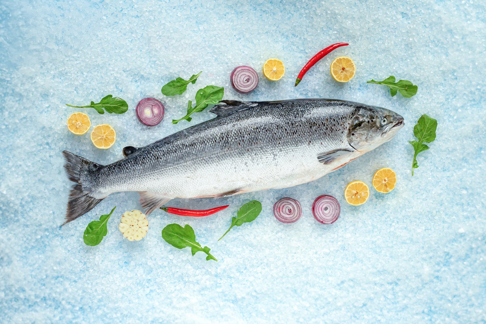 Norveç Somon Bütün