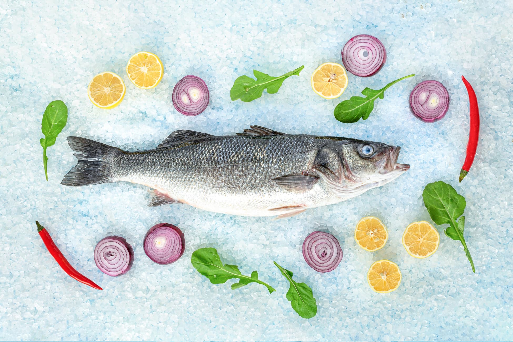 Deniz Levrek Bütün