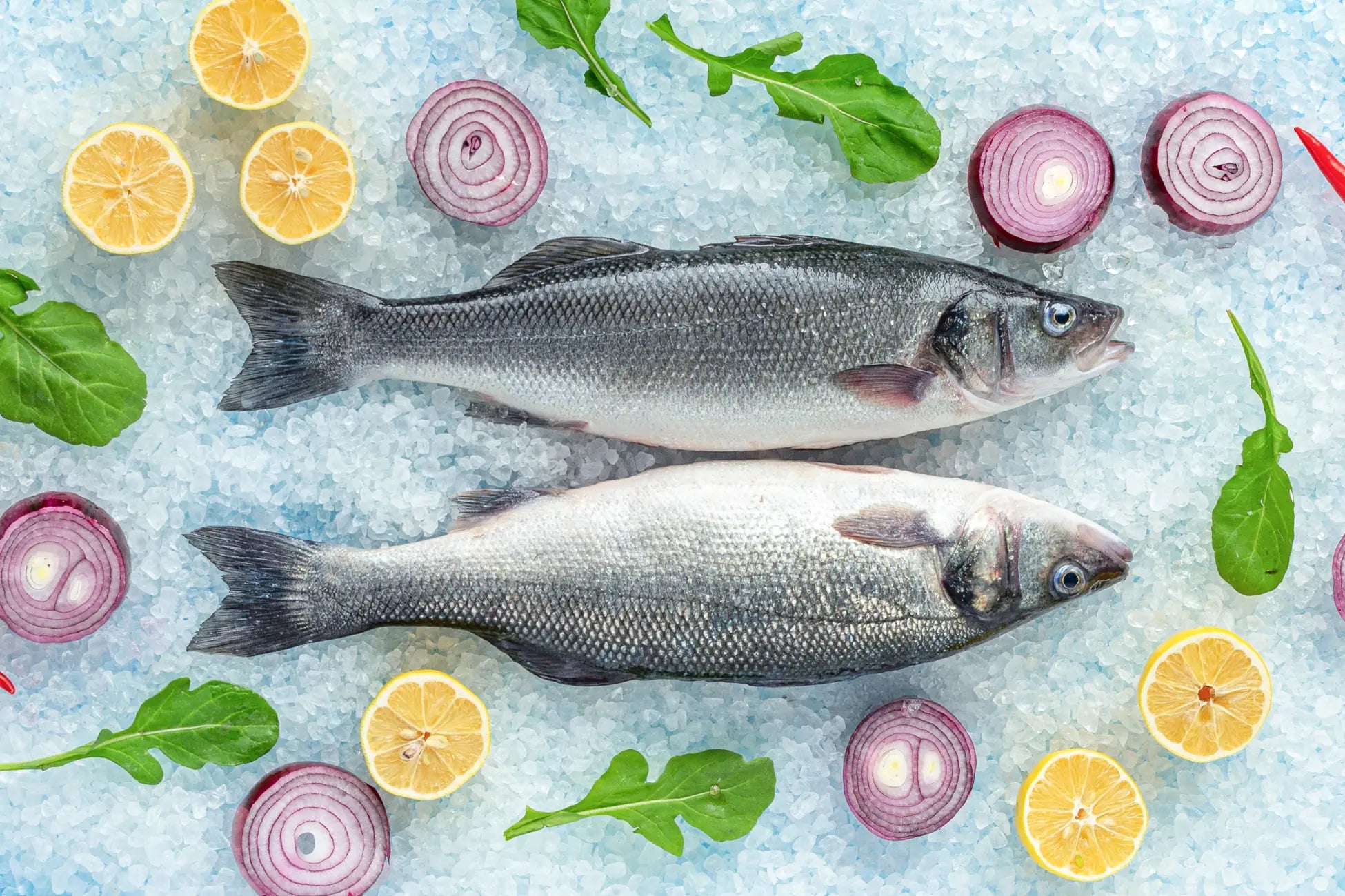 Levrek Bütün (350-400 gr) Adet